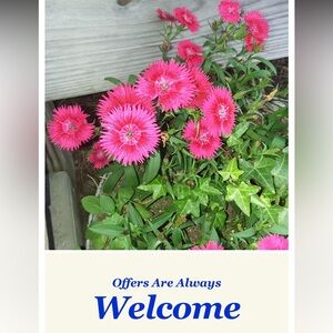 Offers are always welcome